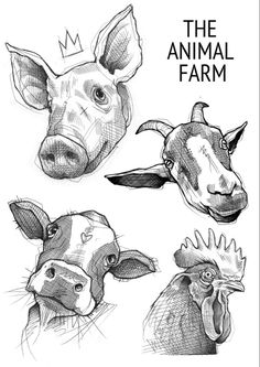 sketches of farm animals with the words'the animal farm '