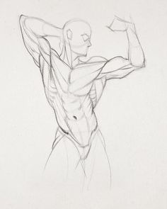 a pencil drawing of a man flexing his muscles