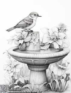 a pencil drawing of a bird sitting on top of a fountain with flowers around it