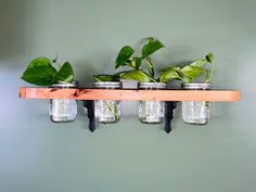 three mason jars with plants in them are hanging on a wall above a wooden shelf