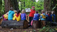 children are sitting on logs in the woods and looking at an open book while reading