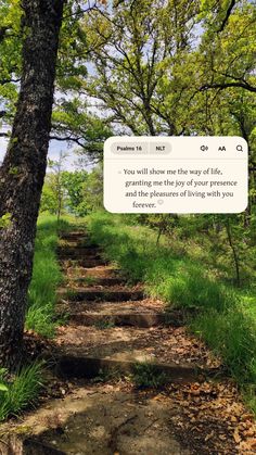 a path in the woods with a quote above it that reads, you will choose the way of life starting from the joy of your presence and the pleasure of living with you