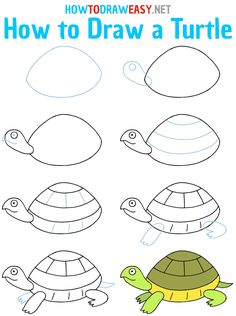 how to draw a turtle for kids