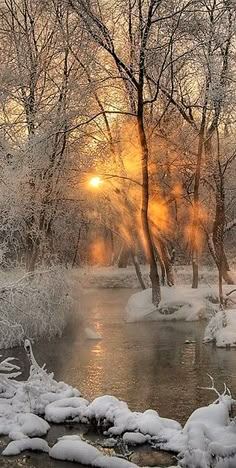 the sun shines brightly through the trees and snow on the bank of a river