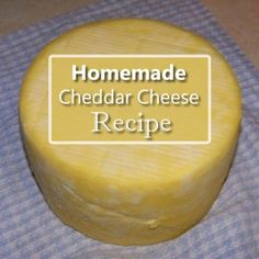 homemade cheddar cheese recipe on a blue and white dish towel with text overlay that reads homemade cheddar cheese recipe