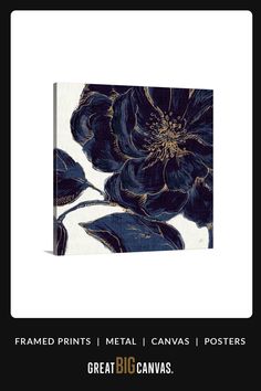 a black and white flower is featured on the cover of a book, titled framed prints metal canvass / posters great big canvass