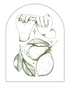 a drawing of two hands holding fruit and leaves