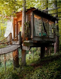 a tree house in the woods with lights strung from it's windows and trees