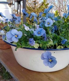 a white bowl filled with blue flowers sitting on top of a wooden table next to potted plants