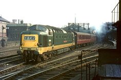 Train Board, Electric Train, Old Trains, British Rail, London Transport, Kestrel, Electric Locomotive, Diesel Locomotive, Vintage Train