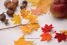 small maple leaves, acorns and an apple on a white surface with the words small maple leaf written below