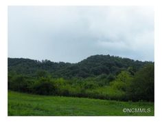 a grassy field with trees in the background