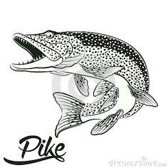 a fish with its mouth open and the word pike above it is in black ink