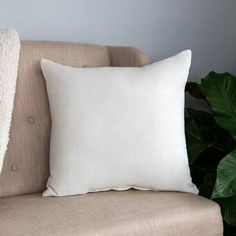 a white pillow sitting on top of a couch next to a plant