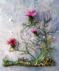 an arrangement of flowers and grass on a blue background