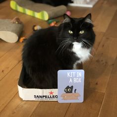 a black and white cat sitting on top of a wooden floor next to a box