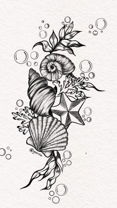 a black and white drawing of seashells with leaves on the bottom half of their shell