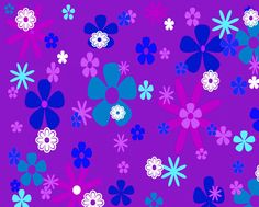 an image of colorful flowers on purple background