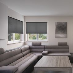 a living room with couches, tables and two windows that have blind shades on them