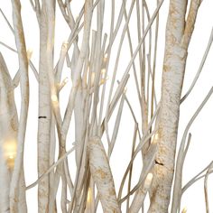 white branches with lights on them against a white background