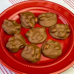 there are chocolate covered donuts on a red plate