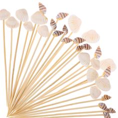 a bunch of toothpicks with seashells on them