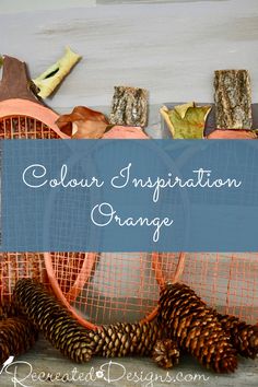 some pine cones are sitting in front of an orange net with the words color inspiration orange on it