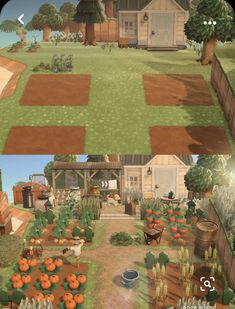 two screens showing the different stages of growing vegetables in a small yard and an open garden area