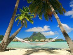 hammock between two palm trees on the beach