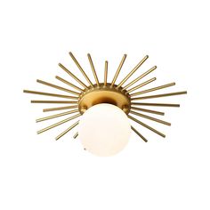 an image of a light fixture on a white background