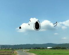 a kite flying in the air over a rural road