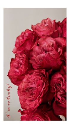 Red Flower Wallpaper, Red Peonies, Romantic Mood, Flower Background Wallpaper, Flower Phone Wallpaper