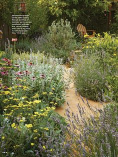 a garden filled with lots of different types of flowers and plants in it's borders