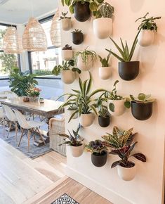 there are many potted plants on the wall