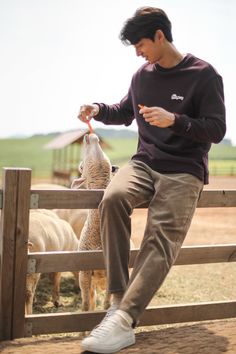 a man sitting on top of a wooden fence next to a sheep in a pen