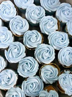 cupcakes with blue frosting in a box