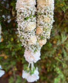 white flowers hanging from the branches of a tree