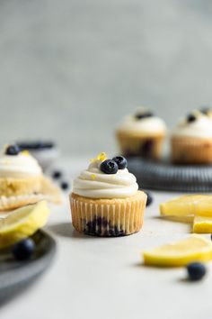 cupcakes with lemon slices and blueberries are on black plates next to each other