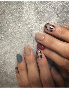 ✵ stephanie filer ✵ Nagel Stamping, Leopard Print Nails, Colorful Nail, Manicure Y Pedicure, Tan Skin, Nail Arts, Manicure E Pedicure, Gel Manicure, Mani Pedi