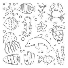 an ocean scene with sea animals and fish