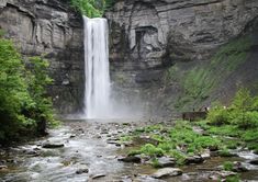 a large waterfall in the middle of a forest