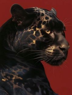 a close up of a black and gold leopard on a red background with its head turned to the side