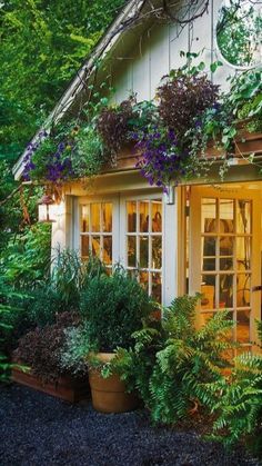 a man standing in the doorway of a house with lots of plants growing on it