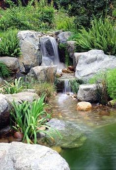 a small waterfall in the middle of a garden filled with lots of rocks and plants