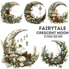 the fairy tale crescent moon is decorated with pine cones, mushrooms and acorns