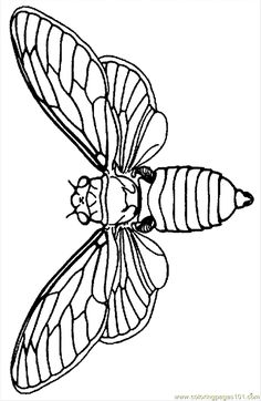 a black and white drawing of a butterfly