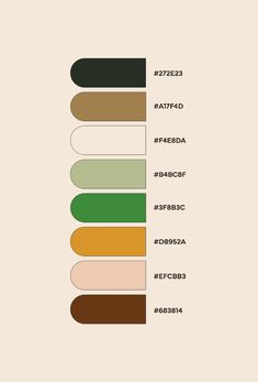 an image of the color code for different types of paint colors and their corresponding names