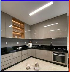 two dogs are sitting in the middle of a kitchen with stainless steel appliances and cabinets