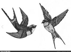 two birds flying next to each other on a white background in black and white ink