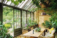 a table and chairs in a room filled with plants